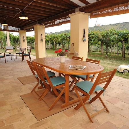 B&B Conca Del Pretore Loreto Aprutino Dış mekan fotoğraf