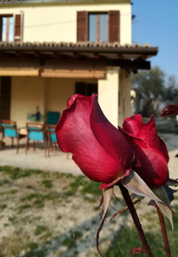 B&B Conca Del Pretore Loreto Aprutino Dış mekan fotoğraf
