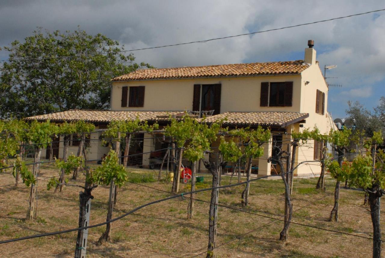 B&B Conca Del Pretore Loreto Aprutino Dış mekan fotoğraf