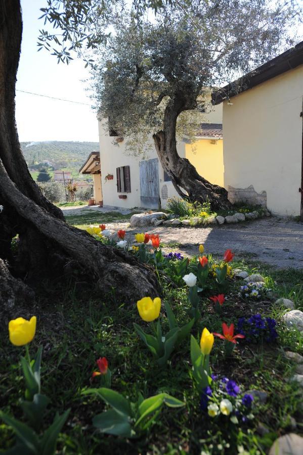 B&B Conca Del Pretore Loreto Aprutino Dış mekan fotoğraf