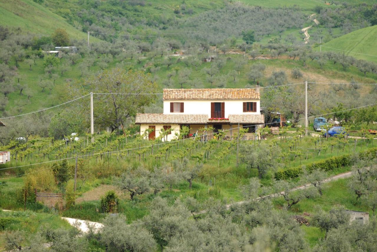 B&B Conca Del Pretore Loreto Aprutino Dış mekan fotoğraf