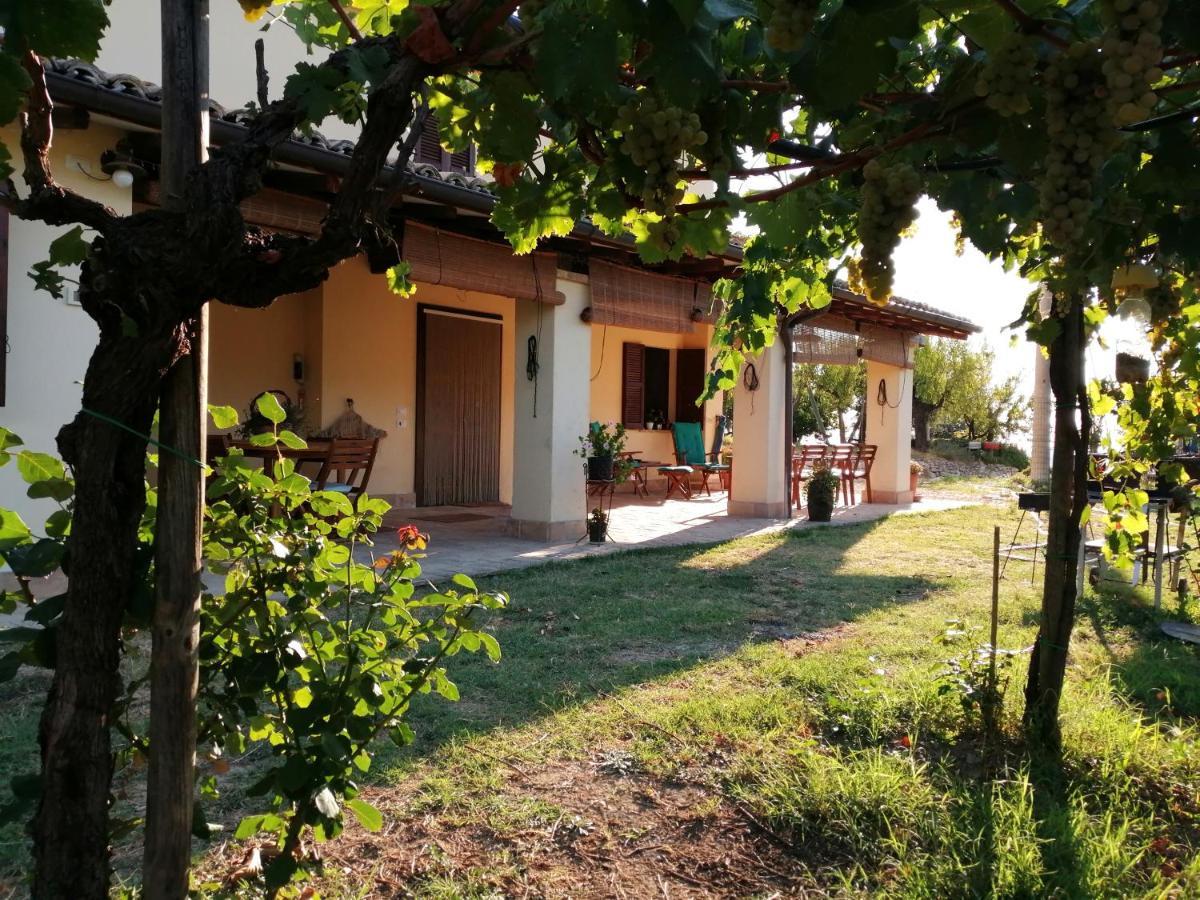 B&B Conca Del Pretore Loreto Aprutino Dış mekan fotoğraf