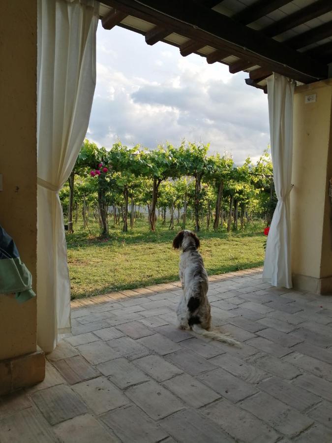 B&B Conca Del Pretore Loreto Aprutino Dış mekan fotoğraf