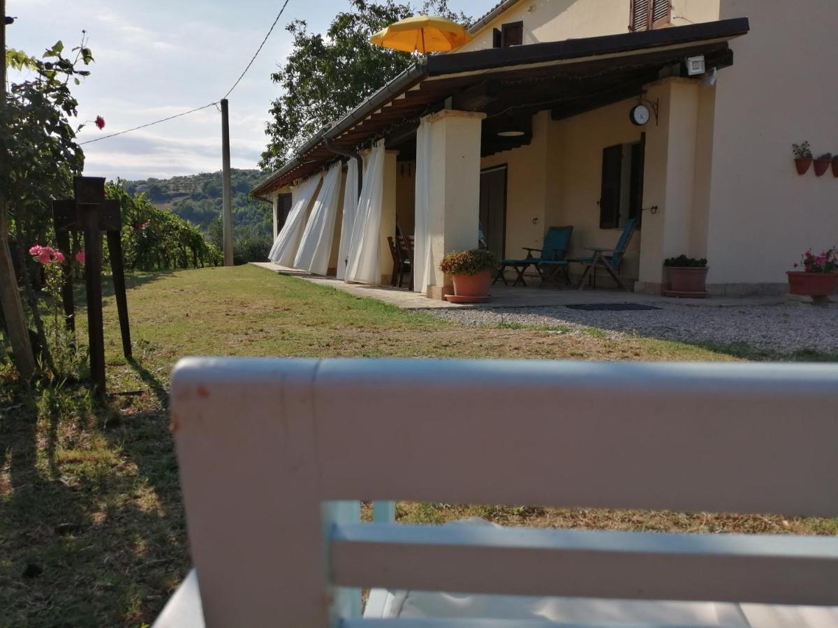 B&B Conca Del Pretore Loreto Aprutino Dış mekan fotoğraf